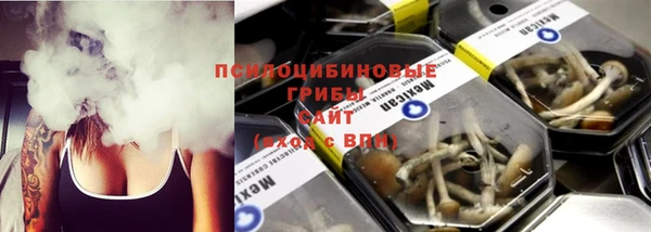 индика Абинск