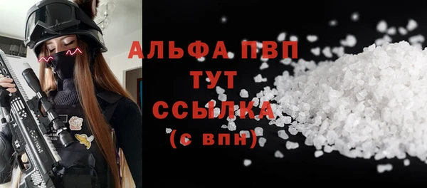 индика Абинск