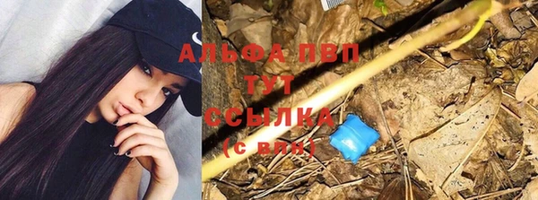 амф Абаза