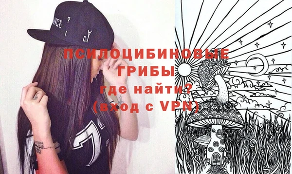 индика Абинск