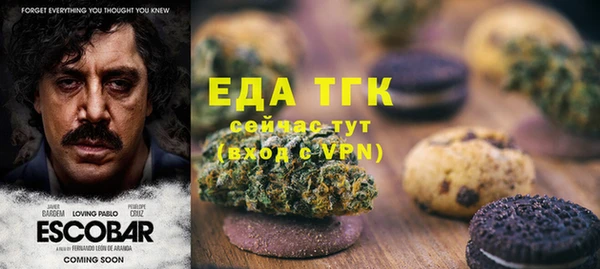 индика Абинск