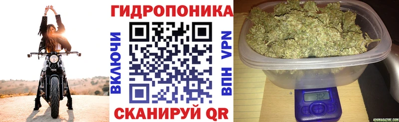 хочу наркоту Монино Шишки марихуана семена